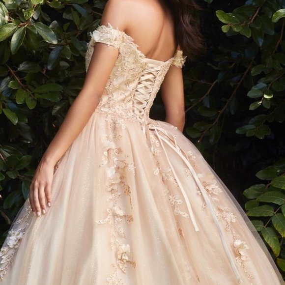 NEW CHUMPAGNE DRESS SWEETHEART NECKLINE LAYERED TULLE BALL GOWN PROM DRESSCD0185 - Picture 7 of 7
